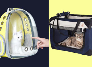 “The Ultimate Guide to Cat Supplies: A List of Essentials and Trusted Shops”