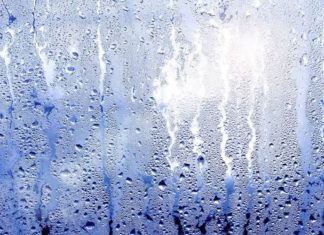 What is Damp? Understanding the Causes and Effective Solutions for Damp Homes.