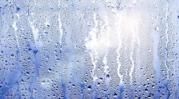 What is Damp? Understanding the Causes and Effective Solutions for Damp Homes.