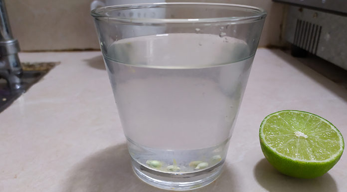 The Perfect Lemonade: A No-Taste Test Recipe That’s Easy As Pie