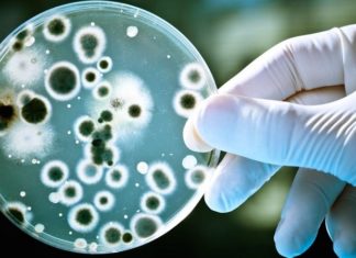 Is Boiled Water Good for You?