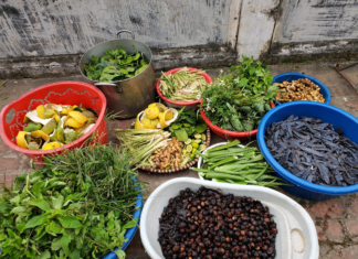 The Ultimate Hair Elixir: A 90s-Born Man’s Homemade Remedy for Hair Loss and Dandruff