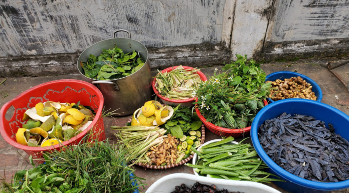 The Ultimate Hair Elixir: A 90s-Born Man’s Homemade Remedy for Hair Loss and Dandruff