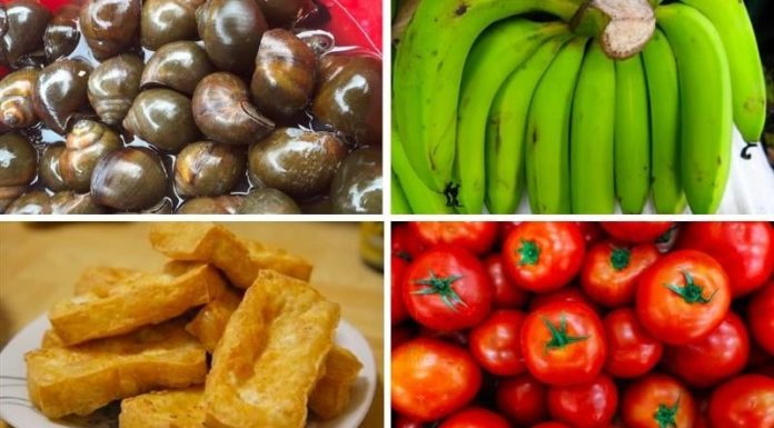 “A Tasty Northern Delicacy: Conch, Banana, and Bean Stew”