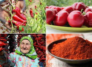 What is Paprika? 5 Benefits of This Signature Spice of Hungary.