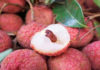 The Ultimate Guide: Identifying the Superiority of Vietnamese Lychees Over Their Chinese Counterparts