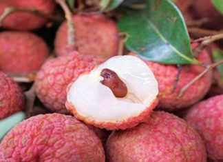 The Ultimate Guide: Identifying the Superiority of Vietnamese Lychees Over Their Chinese Counterparts