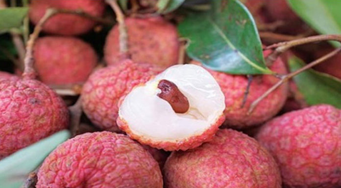 The Ultimate Guide: Identifying the Superiority of Vietnamese Lychees Over Their Chinese Counterparts