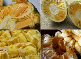 How to Identify, Purchase, and Clean Jackfruit Seeds