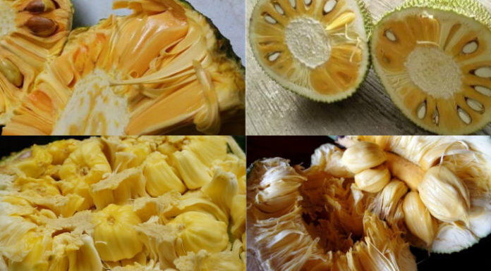 How to Identify, Purchase, and Clean Jackfruit Seeds