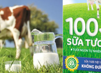 “The Difference Between Sterilized Milk and Fresh Sterilized Milk”