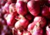 Differentiating between Vietnamese and Chinese Shallots