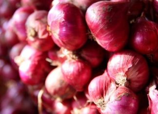 Differentiating between Vietnamese and Chinese Shallots
