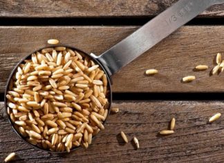 Distinguishing Pure Oats: A Guide to Navigating the Varieties of Oats