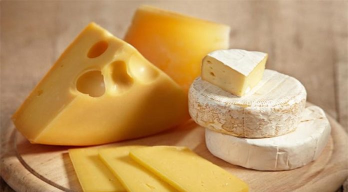 How Many Calories Are in Cheese? Can You Eat Cheese and Still Lose Weight?