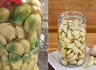 Why Does Garlic Turn Green When Pickled?