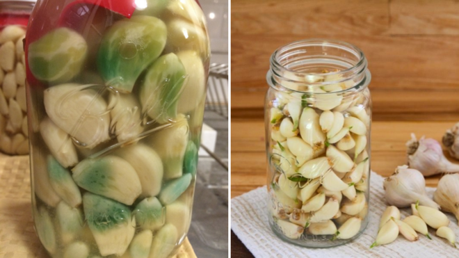 Why Does Garlic Turn Green When Pickled?