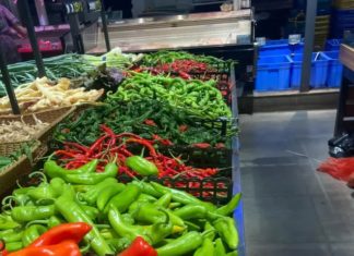 The Ultimate Guide to Grocery Shopping: 10 Pro Tips to Master the Art