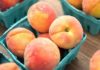 The Ultimate Guide to Storing Peaches: Keep Them Fresh for Over a Month