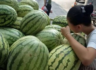 The Ultimate Guide to Choosing a Sweet Watermelon: A Simple Yet Effective Trick