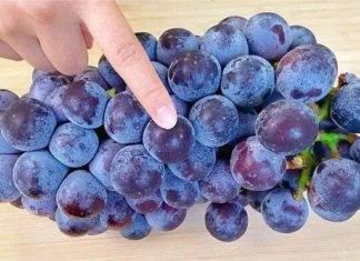 “Don’t Wash Your Grapes Like This Unless You Want Parasites in Your Belly”