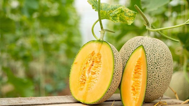 Should You Buy Golden Melon with or without the Stem? The Truth Behind This Misunderstood Fruit.