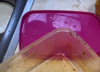 The Ultimate Guide to Cleaning Plastic Containers: Does It Really Work?
