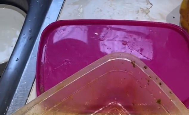 The Ultimate Guide to Cleaning Plastic Containers: Does It Really Work?