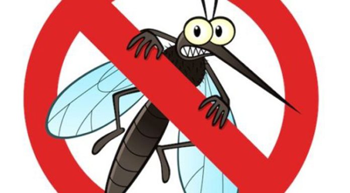 A Refreshing Repellent: Crafting a Citrusy, Clove-Scented Shield Against Mosquitoes