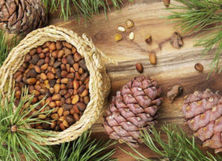 The Super Seed That’s a Hit With the Ladies This Tet Holiday, Selling Out Fast!