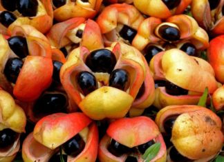 The Ackee Fruit: A Tasty Treat With Health Benefits, But Handle With Care