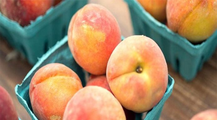 The Ultimate Guide to Storing Peaches: Keep Them Fresh for Over a Month