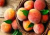 “The Great Peach Debate: Round or Pointed, Which is the Better Choice?”