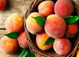 “The Great Peach Debate: Round or Pointed, Which is the Better Choice?”