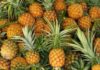 How to Pick a Perfect Pineapple: 6 Tips to Ensure You Get the Sweetest Treat