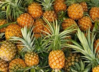How to Pick a Perfect Pineapple: 6 Tips to Ensure You Get the Sweetest Treat