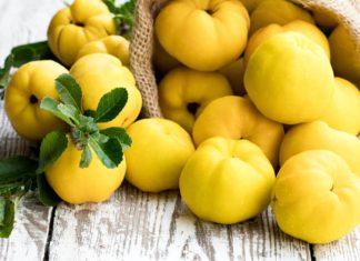 The Ultimate Superfood: Discover the Dried Fruit That’s a Natural ‘Longevity Elixir’