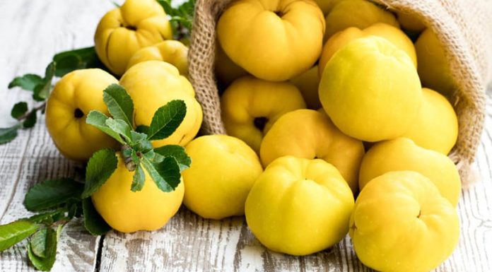 The Ultimate Superfood: Discover the Dried Fruit That’s a Natural ‘Longevity Elixir’