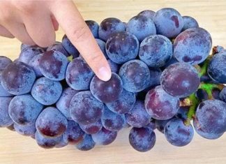 “Don’t Wash Your Grapes Like This Unless You Want Parasites”