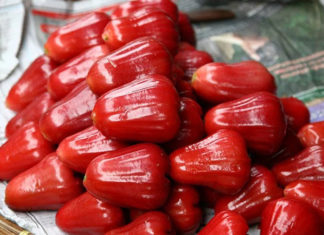 What Are Red Currants? The Health Benefits of Red Currants Explained.