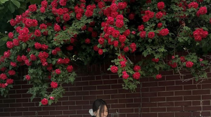 The Latest Summer Shorts Styles to Keep You Looking Young and Fresh for Work and Play