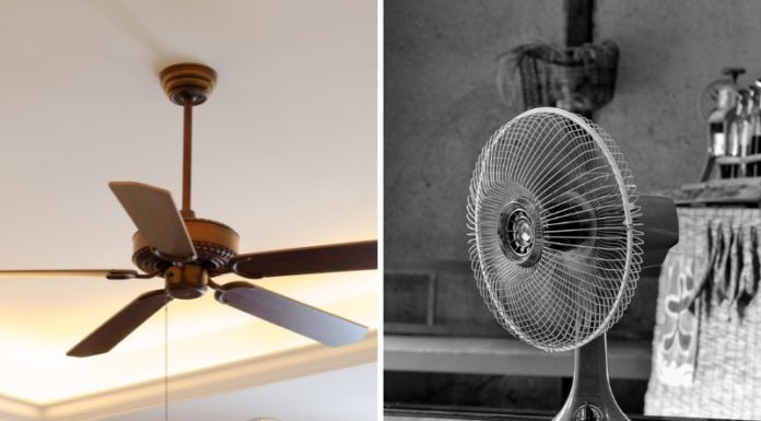 Ceiling Fans vs. Floor Fans: Which Consumes More Energy?