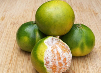 How Many Varieties of Mandarins Exist? Understanding the Benefits and How to Select the Sweetest Fruit