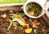 What is Organic Waste? Understanding the Different Types of Organic Waste