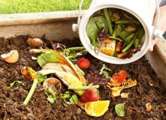 What is Organic Waste? Understanding the Different Types of Organic Waste