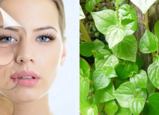 The Surprising Benefits of Water Spinach: A Superfood You Should Know About