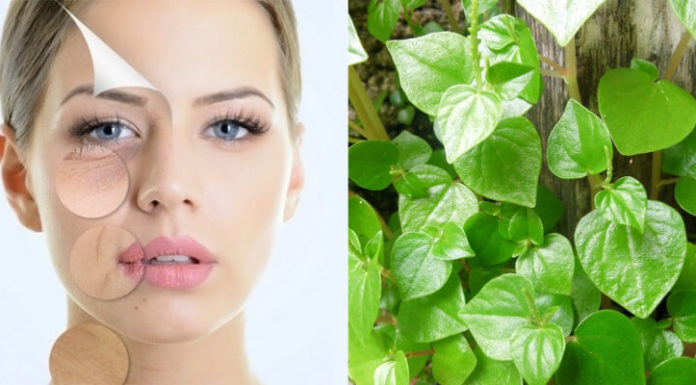 The Surprising Benefits of Water Spinach: A Superfood You Should Know About