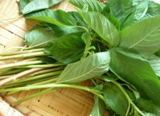 How Many Calories Are in Amaranth? Can Eating Amaranth Help With Weight Loss?