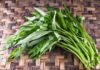 “The Ultimate Guide to Choosing Fresh, Crisp Water Spinach: Avoid Pesticides and Select the Best Bunch”