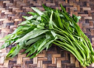 “The Ultimate Guide to Choosing Fresh, Crisp Water Spinach: Avoid Pesticides and Select the Best Bunch”